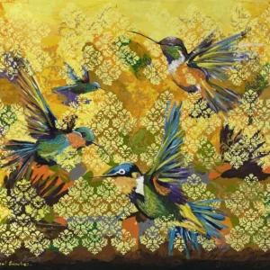 Colibríes