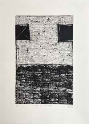 Muro de tierra