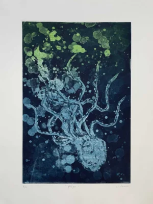 Pulpo