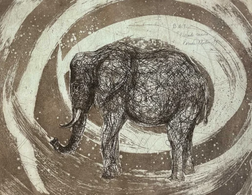 Elefante Macho