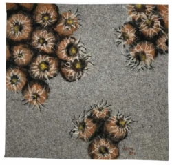 Fractales en florecimiento