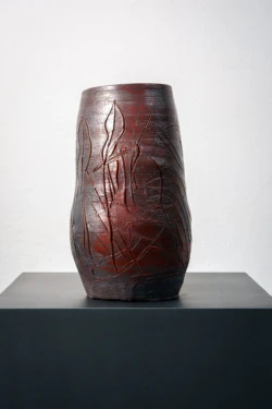 Pájaro de los difuntos