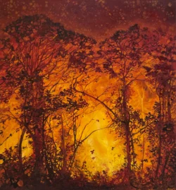 El fuego de las hadas